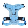 Step-in Lock Adjustable Cat Harness w. Cat Leash Combo Set with Neoprene Handle 5ft - Small, Medium and Large Breed Cats - 2 of 4
