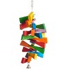 Prevue Pet Products 60958 Bodacious Bites Slice of Life Bird Toy, Multicolor - 2 of 3