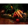 Kuhn Rikon Swiss Metal Peeler 4”, Stainless Steel - 4 of 4