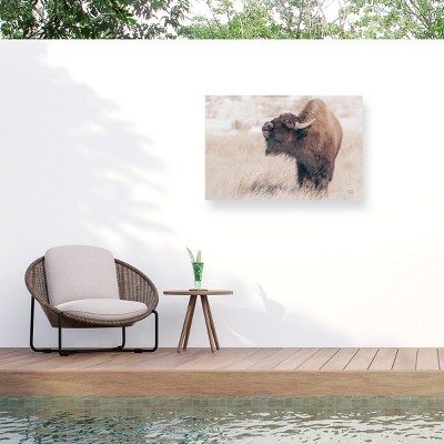 Nathan Larson Bison Call Outdoor Canvas Art
