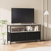 50 Inch TV Stand for Living Room, Dresser TV Stand for with 2 Drawers, Small Entertainment Center with Storage - 3 of 4