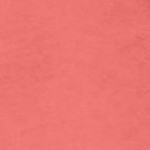 sweet coral
