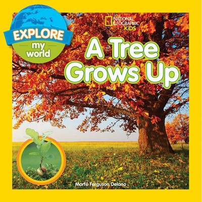 Explore My World: A Tree Grows Up - by  Marfe Delano (Paperback)