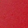 white/cardinal red