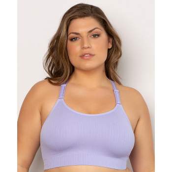 Curvy Couture Women's Sheer Mesh Plunge T-shirt Bra Lavender Mist 44D