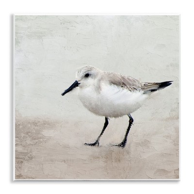 Stupell Industries Lone Sandpiper Bird Portrait, 12" x 12"