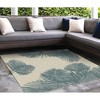 Liora Manne Carmel  Indoor/Outdoor Rug  Aqua.. - 3 of 4