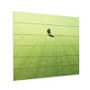 Trademark Fine Art Marcus Cederberg Lonely tree Wood Slat Art - 2 of 4