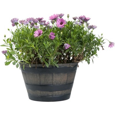 Gardenised Rustic Wood- Look Plastic Half Barrel Flower Pot Bucket Planter, Pack of 4