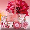 L'Erbolario Shades of Dahlia Shower Gel - Body Wash - 8.4 oz - 3 of 4