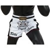 Fairtex BS1712 Vanorn Slim Cut Muay Thai Boxing Short - image 4 of 4