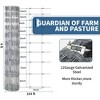 Galvanized Wire Fence, Livestock Fence Garden Fencing Roll, Heavy Zinc Poultry Netting for Goat Deer - 2 of 4