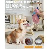 ZippyPaws Durable Squeaky Dog Toy for Medium/Aggressive Chewers (Pink Chick) - 2 of 4