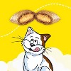 Temptations Tasty Human Haunted House with Chicken and Beef Flavor Halloween Cat Treats - 16oz - 4 of 4
