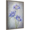 Amanti Art Scabiosa Purple Flower by Mandy Disher Canvas Wall Art Print Framed 16 x 23-in. - 3 of 4