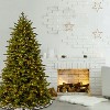 7.5' Prelit LED Deluxe Princeton Fraser Fir Artificial Christmas Tree Dual Color Lights - National Tree Company - 2 of 3