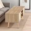 55" Rattan TV Cabinet with Double Sliding Doors, Modern Farmhouse Media Console with Adjustable Shelf and Solid Wood Legs for Living Room - 3 of 4
