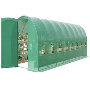 GustoWave Large  27x10x7 ft Outdoor Walk-In Greenhouse Ideal for Backyard Garden Planting. - 1 of 4