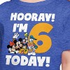 Girls' - Disney - Hooray I'm 6 Today Short Sleeve Graphic T-Shirt - 2 of 4
