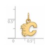 Black Bow Jewelry 10k Yellow Gold Calgary Flames NHL Extra Small Pendant - 2 of 3