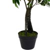 Northlight Artificial Variegated Leaf Ficus Potted Plant - 47" - 4 of 4