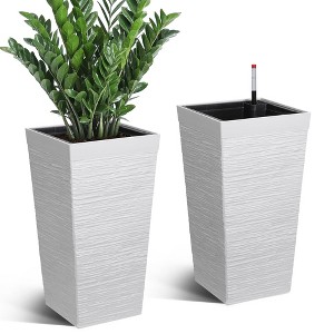 asiatic lily varieties Forever Susan Asiatic Lily | Shop Lilies