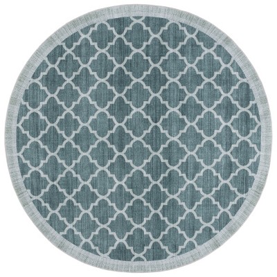 Arizona ARZ172 Power Loomed Indoor Machine Washable Rug - Safavieh