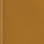 ohio university bobcats