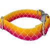 Country Brook Petz 1 1/2 Inch Premium Dog Collar - Abstract Collection - 3 of 4
