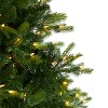 Nearly Natural 9-ft North Carolina Spruce Artificial Christmas Tree with 750 Clear Lights and 1912 Bendable Branches - 3 of 4