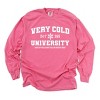 Simply Sage Market Very Cold University Garment Dyed Long Sleeve - 2XL - Crunchberry - 2 of 4