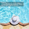 Palmetto Filter Sand for Residential and Commercial Pool Sand Filters for Removing Leaves, Dirt, Dust, and Small Particles - 4 of 4
