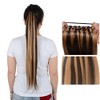 Alilang 24 Inch Long Straight Ponytail Extension Elastic Ring Long Straight Hair For Daily and Special Occasions - 3 of 4