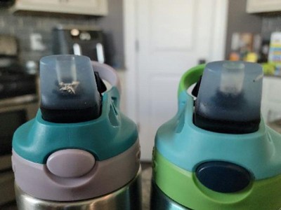 Contigo Water Bottle 3 Pack – cangrotest