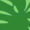 lime monstera leaf