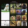 2026 Square Wall Calendar, Poodles, 16-Month Animals Theme with 180 Reminder Stickers (12x12 In) - 4 of 4