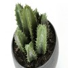 GlasFlength Artificial Plants Small Fake Plants Artificial Grass Plants Faux Plants for Indoor Home Table Decor, Green, 4"*4.5"*5.75" - 4 of 4