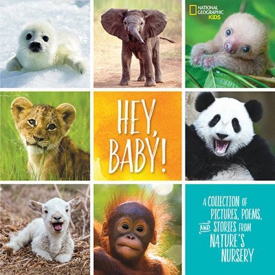 Hey Baby By Stephanie Drimmer  hardcover Target