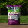 Jonathan Green Black Beauty Heavy Traffic Premium Grass Seed Mixture - 3 of 4