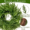 24 Inch Real Pine Wreath for Front Door Home Decor Large Artificial Green Wreath 70 Norfolk Needles Indoor Outdoor Wall Porch Farmhouse - 3 of 4