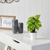 Nearly Natural 9-in Pothos Artificial Plant in White Planter (Real Touch) - 3 of 4