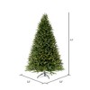 Vickerman Tiffany Fraser Fir Artificial Christmas Tree - 3 of 4