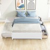 Full-Size Bed with Twin Trundle and Two Drawers in Espresso Finish - 2 of 4
