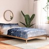 Elisabeth Fredriksson Hexagons & Diamonds 100% Cotton Comforter Set - Deny Designs - 2 of 4