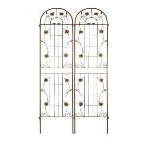 XINGHANZHENXUAN 2 Pack Metal Garden Trellis, Rustproof Trellis for Climbing Plants Outdoor Flower Support - 1 of 4