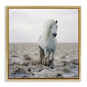 Stupell Industries Windswept Beach Horse Black Floater Framed Canvas Wall Art - 1 of 4