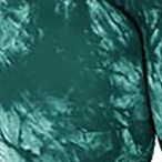 shaded spruce tie dye