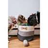 Park Life Designs Livra Basket Dog Rope Toy Set - 4 of 4
