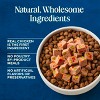 Blue Buffalo Love Made Fresh Chicken Recipe Wet Dog Food for Small Breed - 1lb - 4 of 4