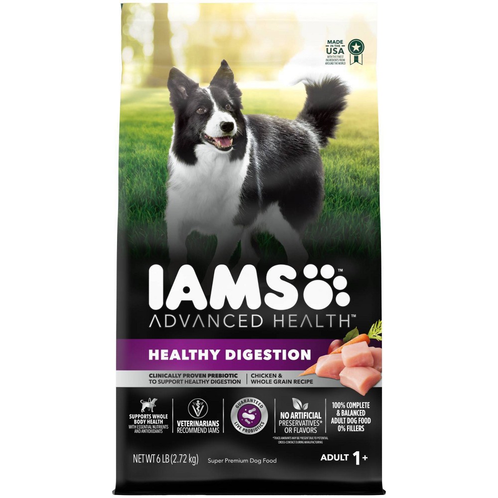 Photos - Dog Food IAMS Dry Dog Advanced Chicken with Live Probiotics Dry  - 6lbs 